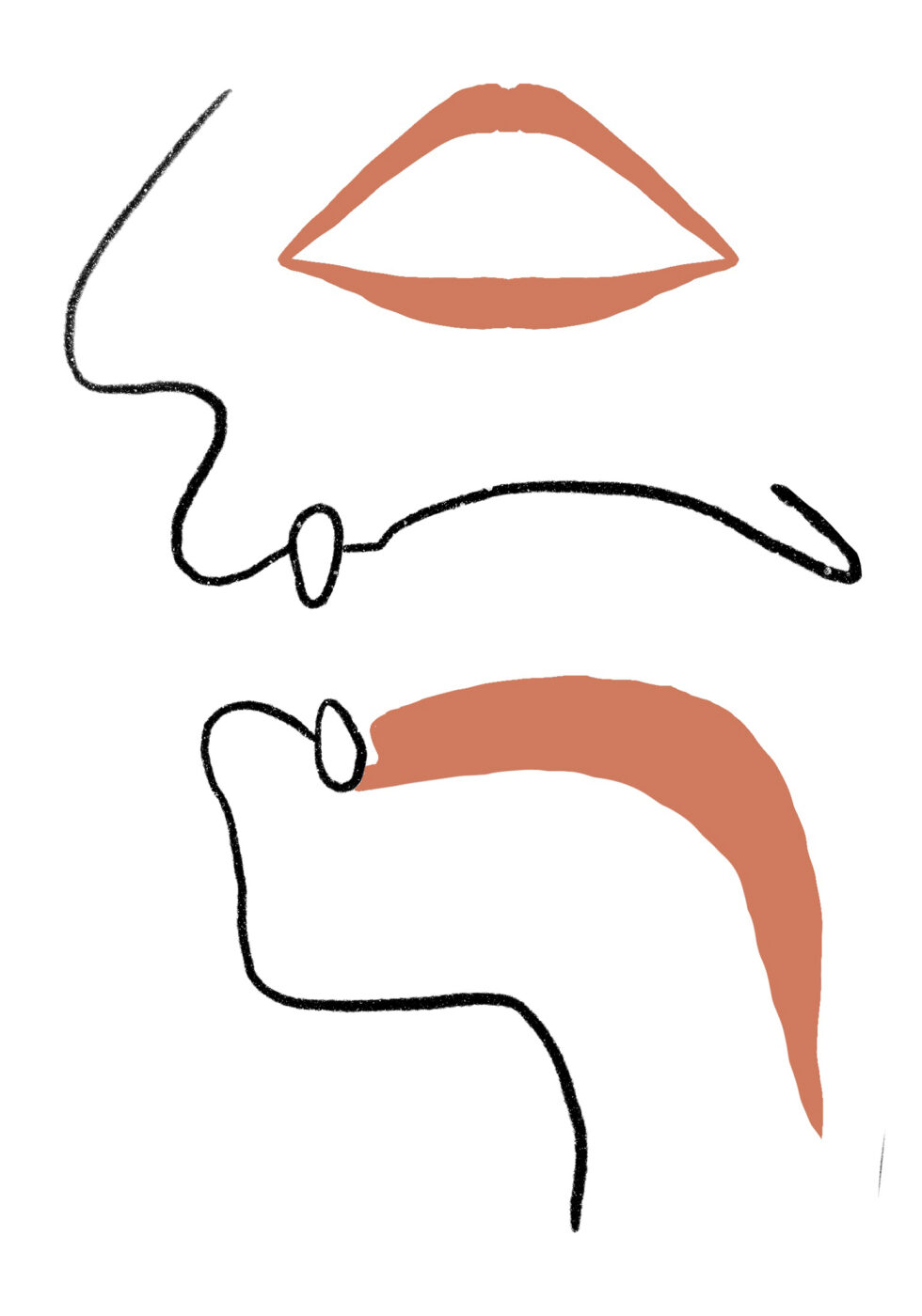 /ɑː/ Archives - The Sound of English