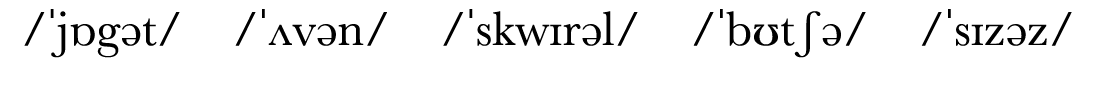   jɒgət     ʌvən     skwɪrəl     bʊtʃə     sɪzəz  