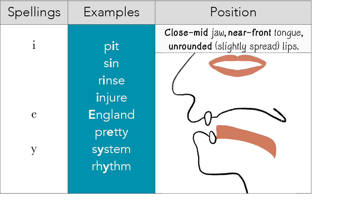 Spellings,Examples,Position, i   e y , pit sin rinse injure England pretty system rhythm,Close-mid jaw, near-front to   