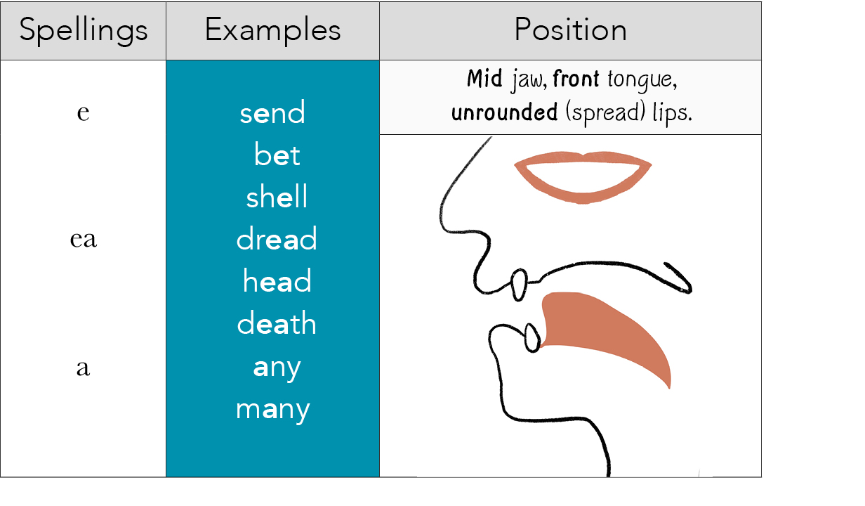 Spellings,Examples,Position, e  ea  a , send  bet  shell  dread  head  death  any many,Mid jaw, front tongue, unround   