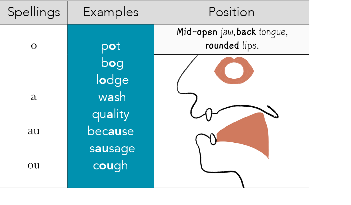 Spellings,Examples,Position, o  a au ou , pot  bog  lodge  wash quality because sausage cough,Mid-open jaw, back tong   