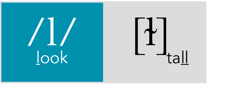  l  look,  ɫ       tall