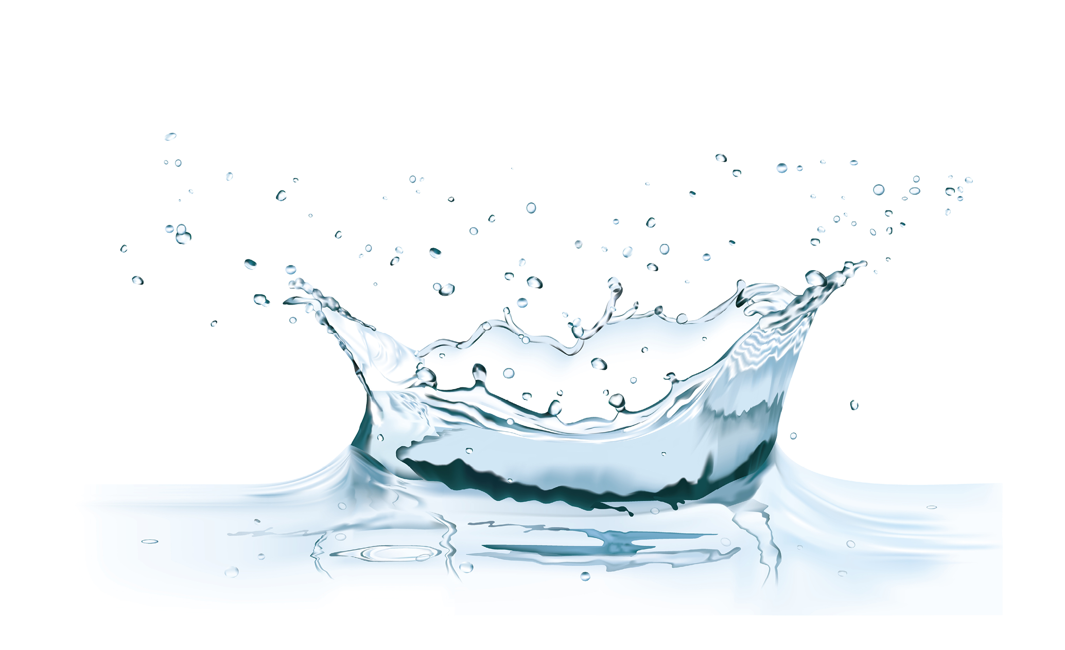 vector clean water splash crown modern illustration