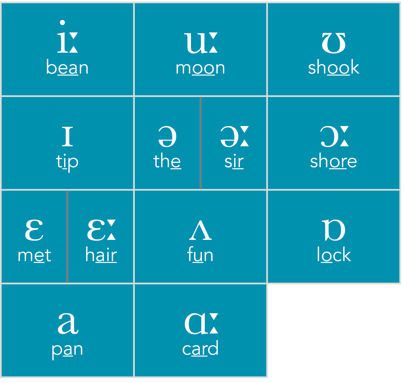 i  bean,u  moon,ʊ shook,ɪ tip,ə the,ə  sir,ɔ  shore,ɛ met,ɛ  hair,ʌ fun,ɒ lock,a pan,ɑ  card,