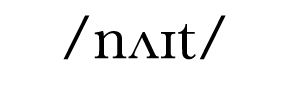  nʌɪt   