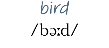bird  bə d 