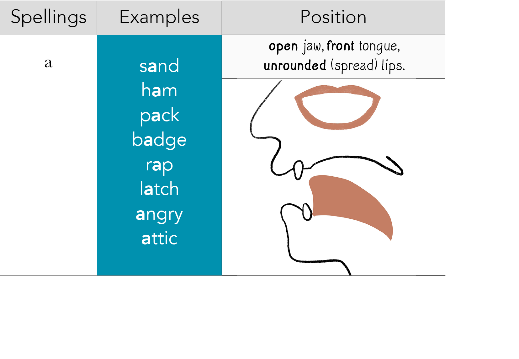 Spellings,Examples,Position, a , sand ham pack badge rap latch angry attic,open jaw, front tongue, unrounded (spread)   