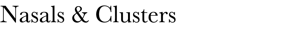 Nasals & Clusters 