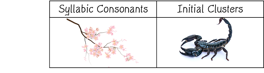,Syllabic Consonants,Initial Clusters, object Rectangle , object Rectangle 